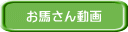 お馬さん動画