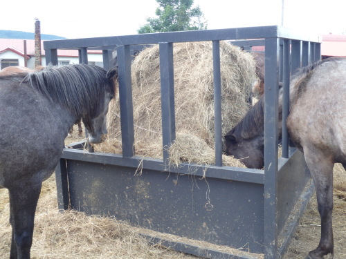 楽々移動できる頑丈なロール草架,カクカク君